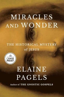 Miracles and Wonder: The Historical Mystery of Jesus