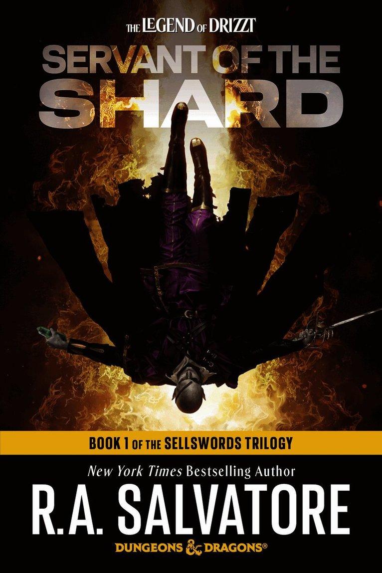 Servant of the Shard: Dungeons & Dragons