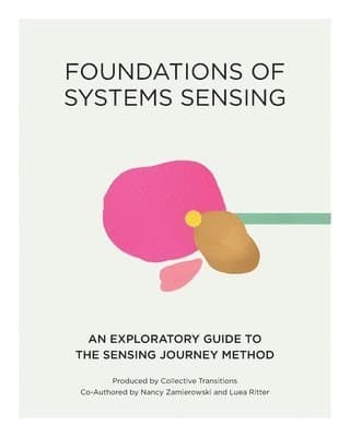 Foundations of Systems Sensing
