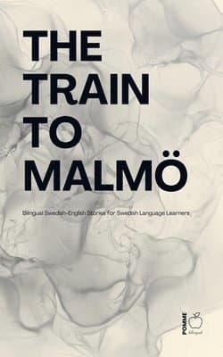 Train to Malmö