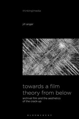 Towards a Film Theory from Below
