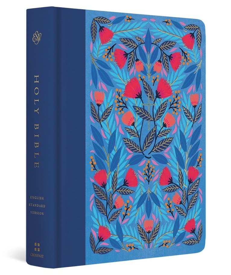 Omslag till boken ESV Single Column Journaling Bible, Artist Series