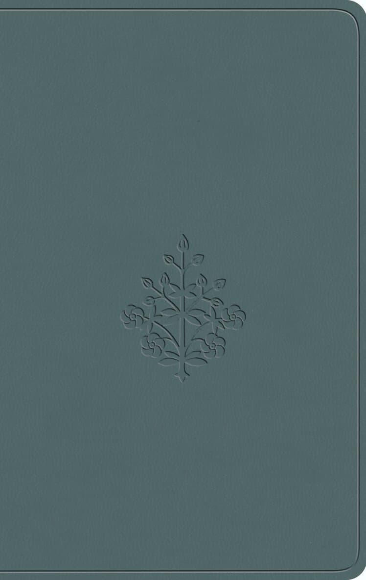 ESV Value Compact Bible