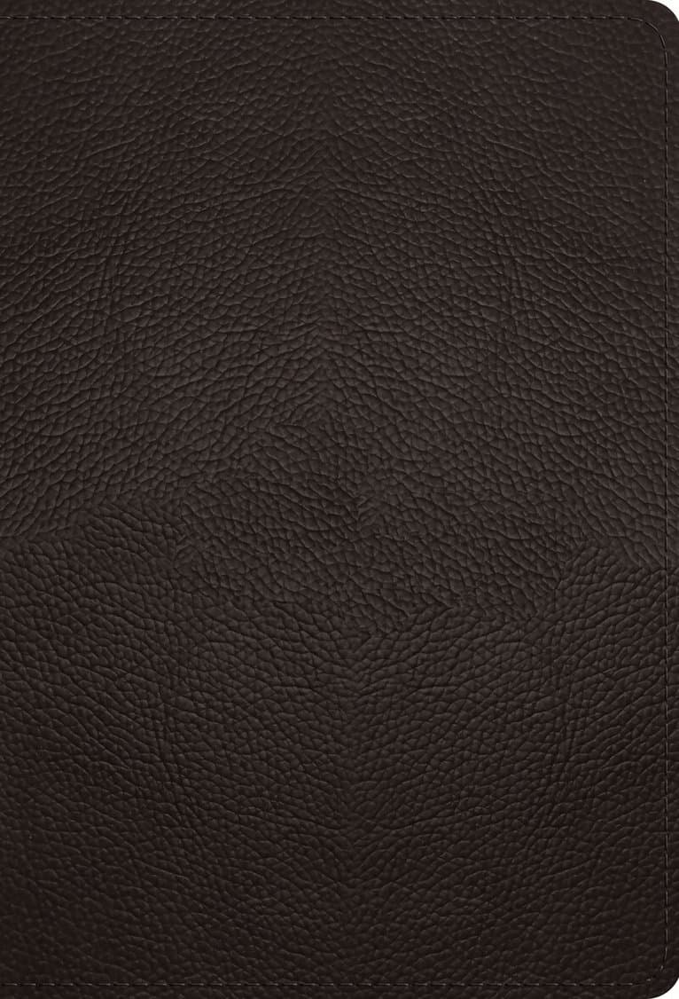 Omslag till boken ESV Large Print Compact Bible, Red Letter av Esv Bibles