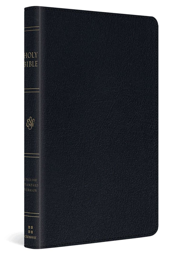 Omslag till boken ESV Large Print Thinline Bible av Esv Bibles