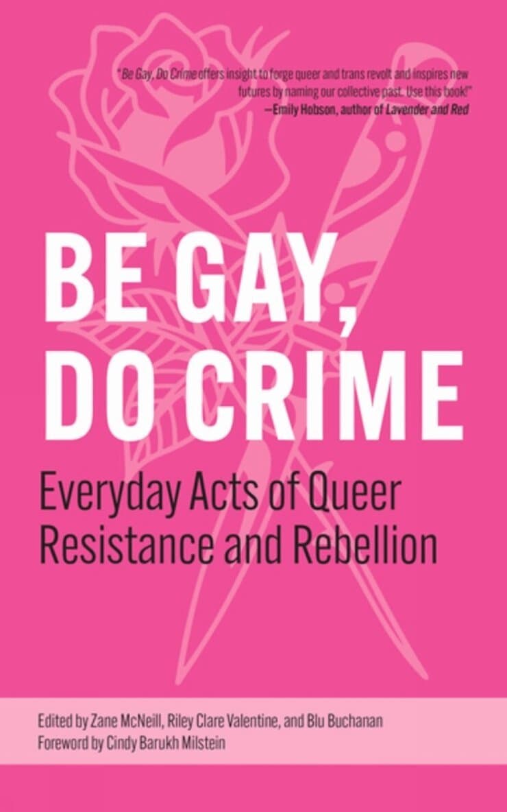 Be Gay, Do Crime