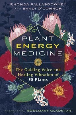 Plant Energy Medicine