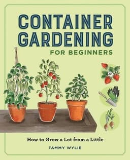 Container Gardening for Beginners