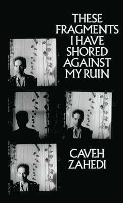 These Fragments I Have Shored Against My Ruin