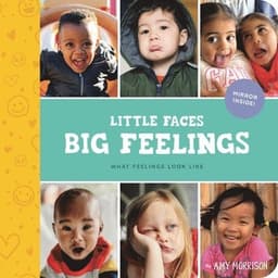 Little Faces Big Feelings