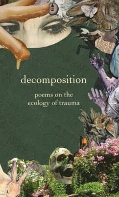 decomposition