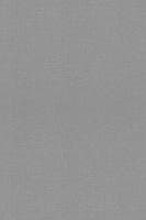 Enemy of the Disaster