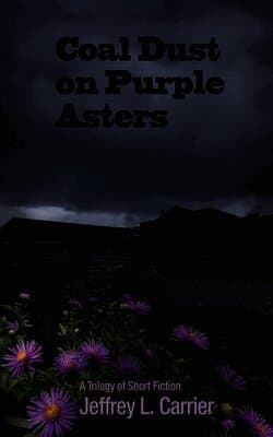 Coal Dust on Purple Asters