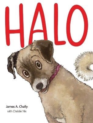 Halo Finds a Home