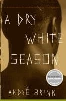 Andre Brink best book