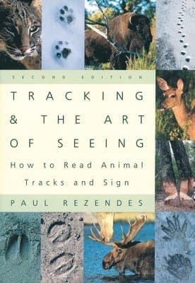 Tracking and the Art of Seeing