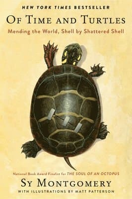Of Time and Turtles: Mending the World, Shell by Shattered Shell