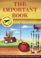 The Important Book