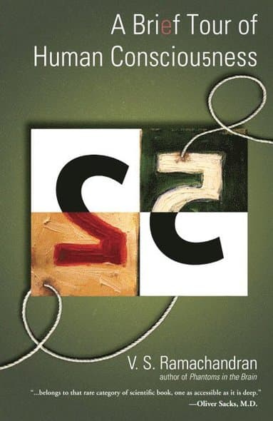 V S Ramachandran best book