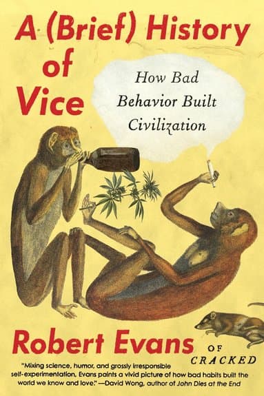 Brief History of Vice