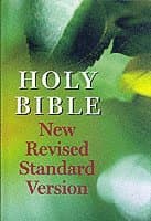 New Revised Standard Version Bible