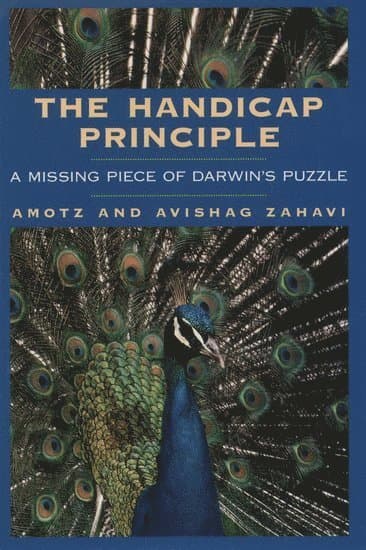 Zahavi best book