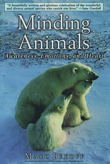 Minding Animals