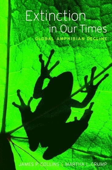 James P Collins best book