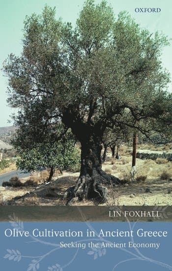 Olive Cultivation in Ancient Greece