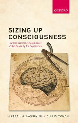 Sizing up Consciousness