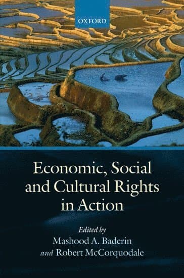 Economic, Social, and Cultural Rights in Action