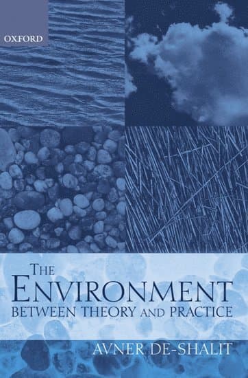 The Environment Between Theory and Practice
