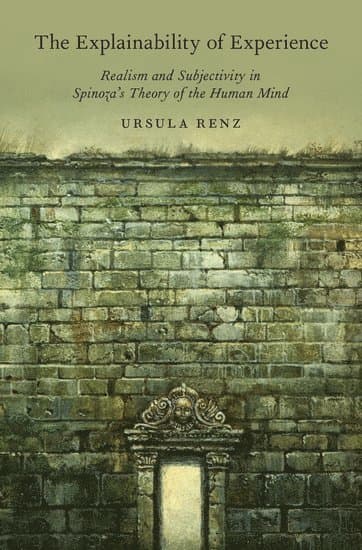 The Explainability of Experience