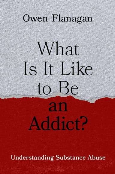 What Is It Like to Be an Addict?