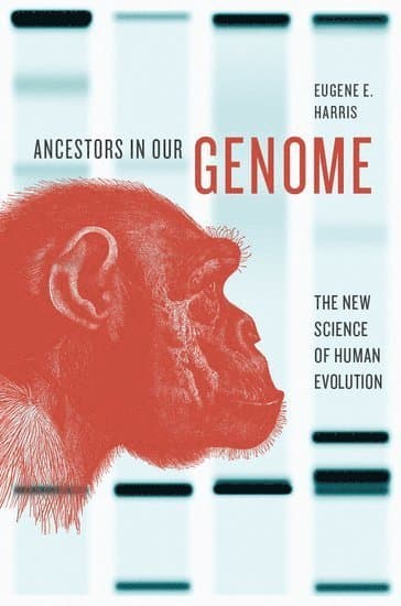 Ancestors in Our Genome