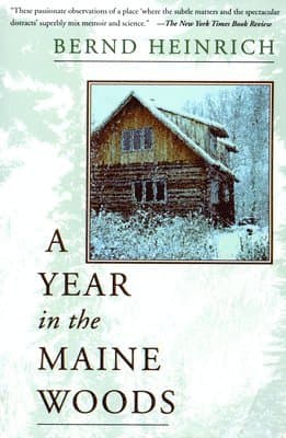 Year In The Maine Woods