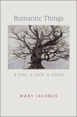 Mary Jacobus best book