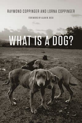 What Is a Dog?