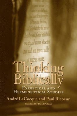 Thinking Biblically - Exegetical and Hermeneutical Studies