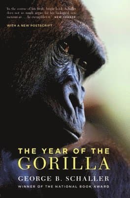 Year of the Gorilla