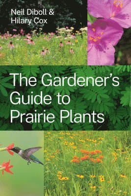 Gardener's Guide to Prairie Plants