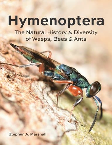 Hymenoptera