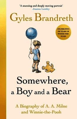 Somewhere, a Boy and a Bear