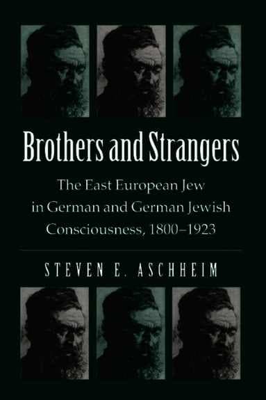 Steven E Aschheim best book