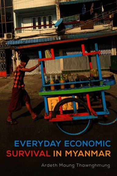 Ardeth Maung Thawnghmung best book