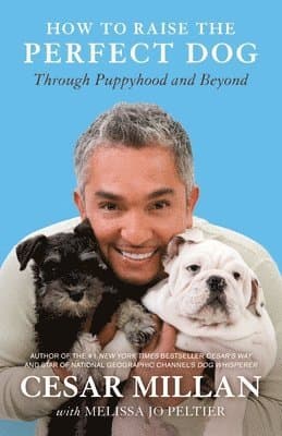 Cesar Millan best book