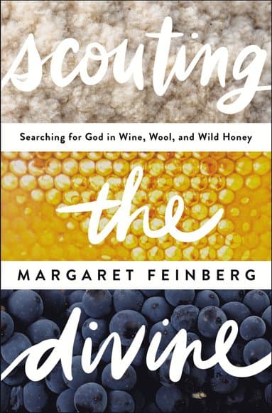 Margaret Feinberg best book