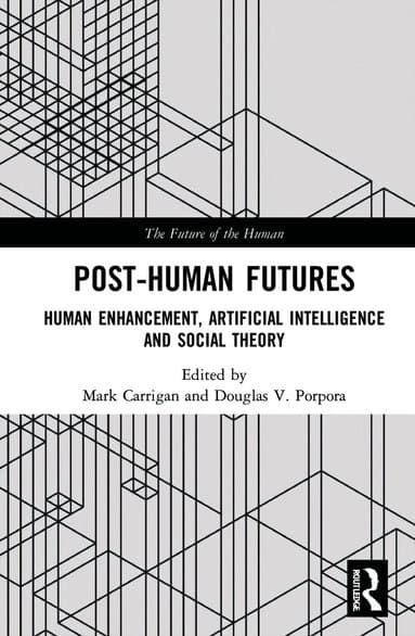 Douglas V Porpora best book