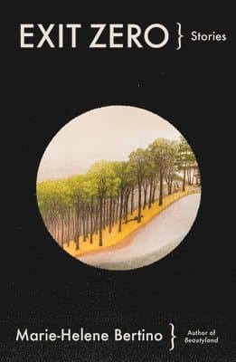 Marie-Helene Bertino best book