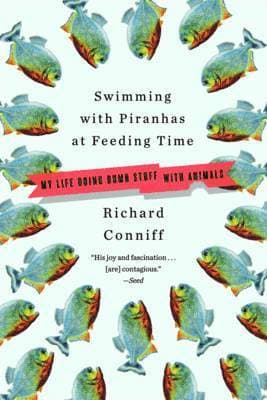 Swimming with Piranhas at Feeding Time